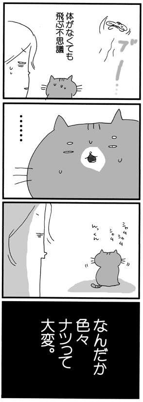c0019433_9302489.gif