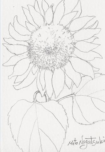 【真作】絵画　元村平　油彩　向日葵　静かな詩情漂う一枚　静寂と郷愁　W135 真作】絵画 元村平 油彩 向日葵 静かな詩情漂う一枚 静寂と