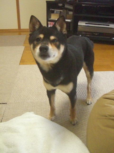 e0025240_21313821.jpg