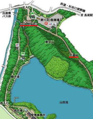 真夏でも涼しい山田池公園の散歩道 デジカメ散歩悠々