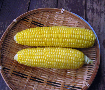 5/2直播き”味来”達_c0063348_1334582.jpg