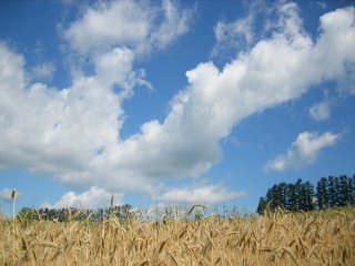 f0043559_21545253.jpg