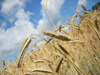 f0043559_21551293.jpg