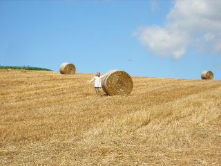 f0043559_2155259.jpg