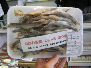f0043559_21573171.jpg