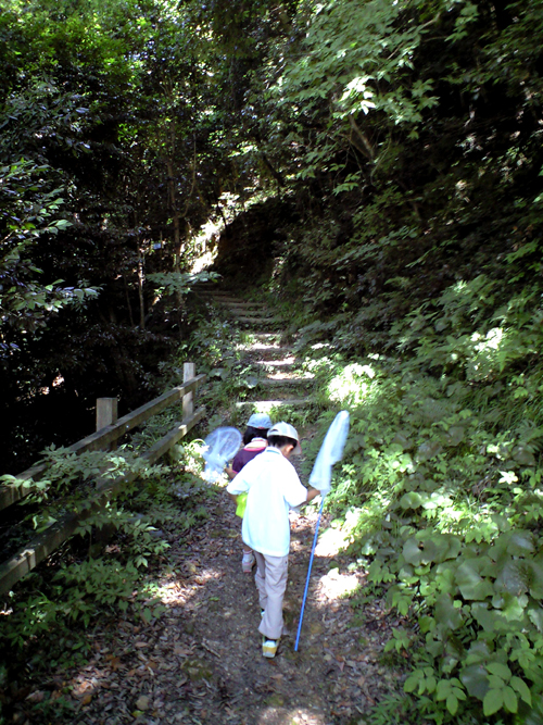 大山登山に向けて（清水寺展望台虫取り編）_d0141173_6564882.jpg