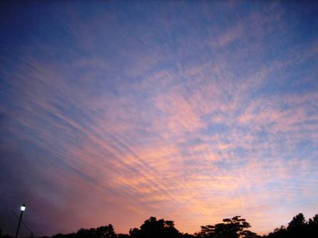 b0097183_13465088.jpg