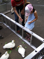 b0018986_2310316.jpg