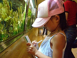 b0018986_2383538.jpg
