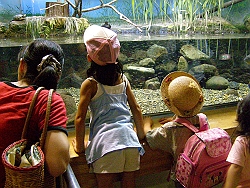 b0018986_2391424.jpg
