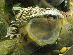 b0018986_2395749.jpg