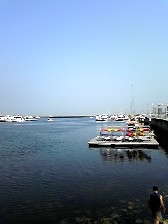 d0090800_132846100.jpg