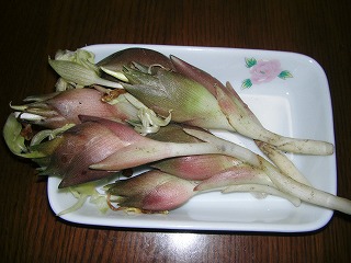 c0125501_23273987.jpg