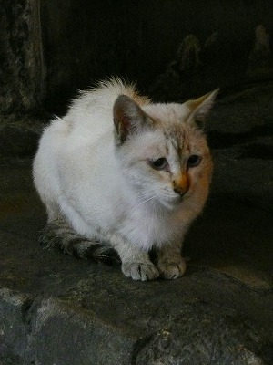 a0024005_842364.jpg