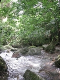 秋月大好き♪_b0078006_6181086.jpg