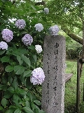 秋月大好き♪_b0078006_651319.jpg