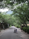 秋月大好き♪_b0078006_67539.jpg