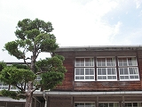 秋月大好き♪_b0078006_694895.jpg