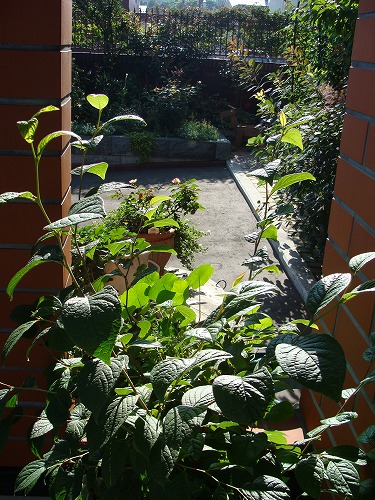 f0170524_16284985.jpg