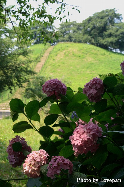 c0136926_15275778.jpg