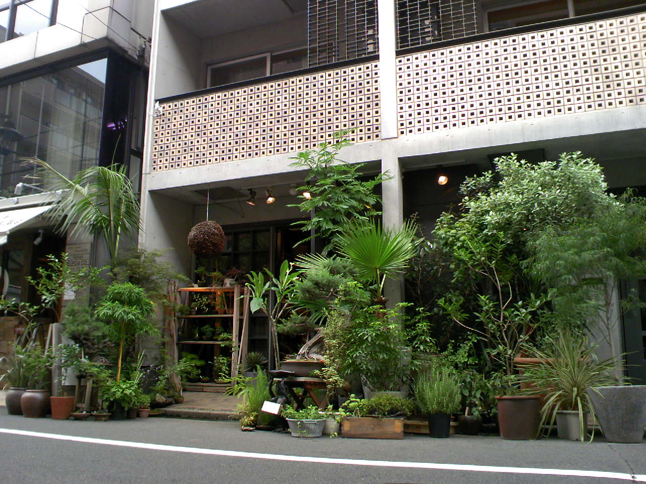 b0137240_13545243.jpg