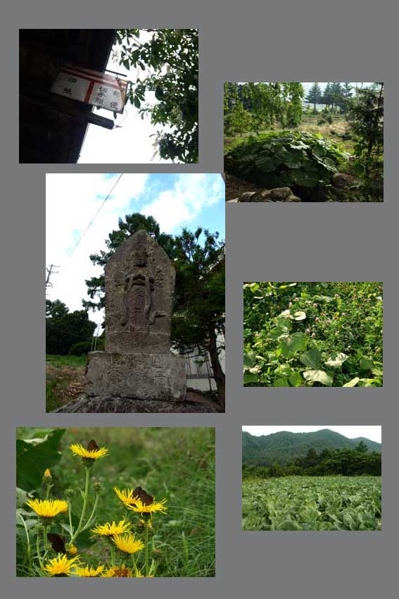 d0149245_23445932.jpg