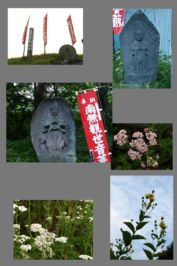 d0149245_23452964.jpg