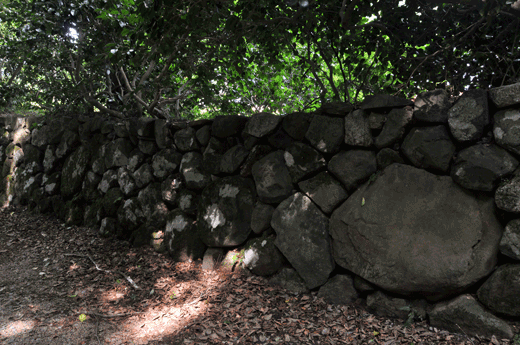 c0093046_6561912.gif