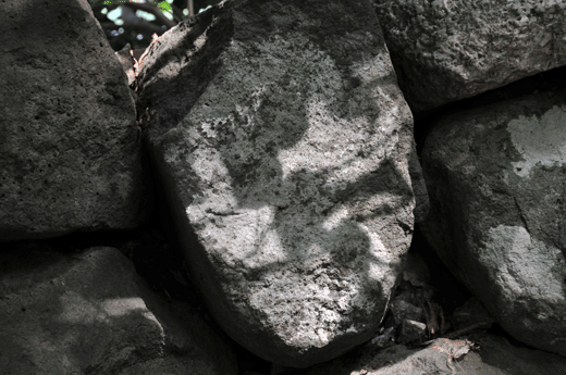 c0093046_6563888.gif