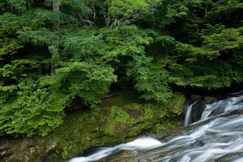 竜頭の滝　（栃木）_c0115948_204957.jpg