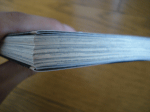 b0046759_182356100.gif