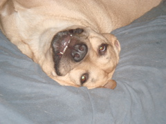 f0004775_96862.jpg