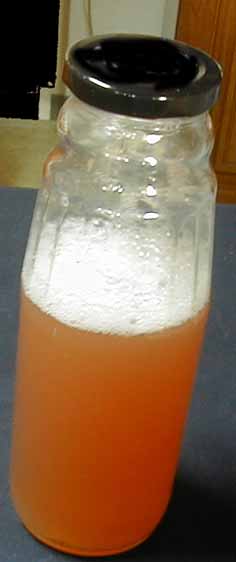 e0126576_1013040.jpg
