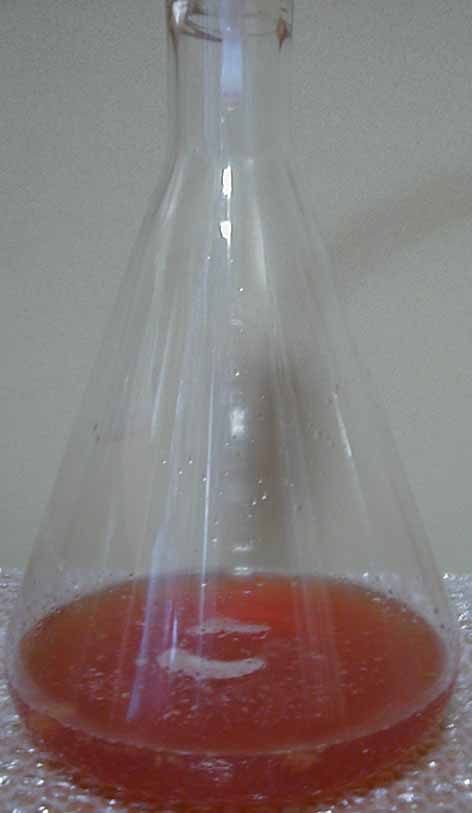 e0126576_9583833.jpg