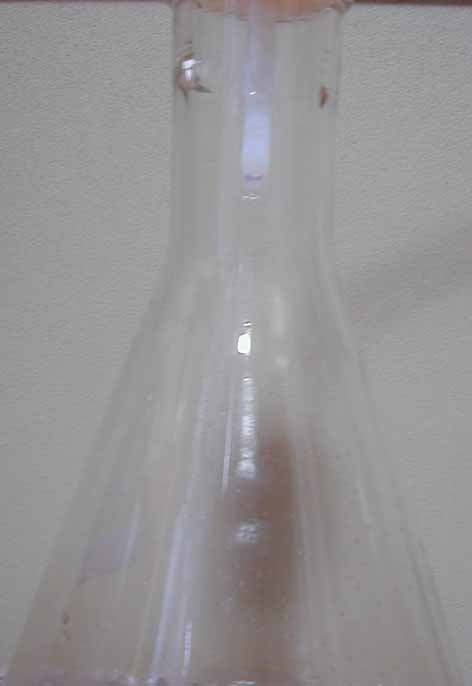 e0126576_958961.jpg