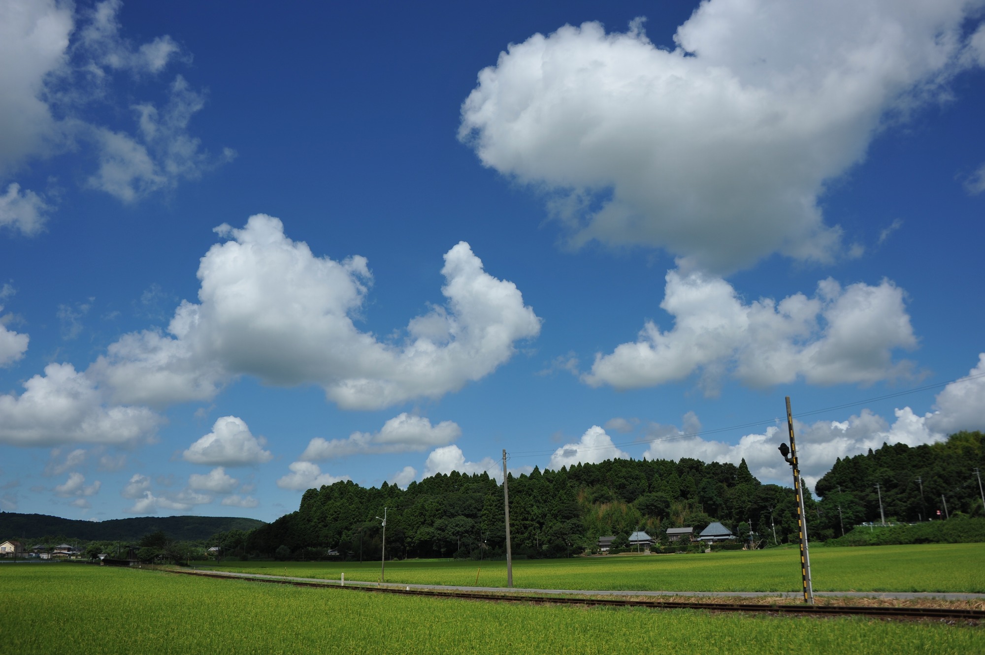 小湊鐵道「上総川間駅」付近_e0071178_20332087.jpg