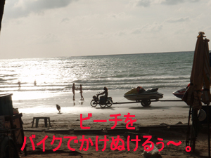 ローシーズンのパトンビーチ_f0144385_14131229.jpg