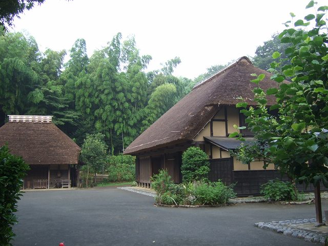 ■　雨上がり早朝の景色　　　08.8.7_e0070891_18233022.jpg