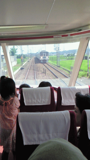 d0100192_22161559.gif