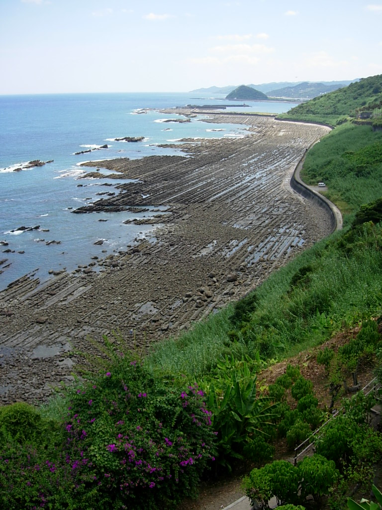 e0021494_13432.jpg