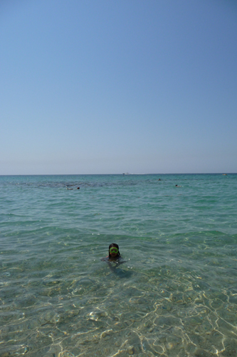 海の子ユキちゃん_f0106597_23105944.jpg