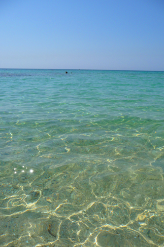 海の子ユキちゃん_f0106597_2314655.jpg