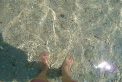 海の子ユキちゃん_f0106597_2363642.jpg