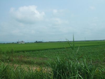 秋田県☆竿燈祭り。_f0148798_23572137.jpg