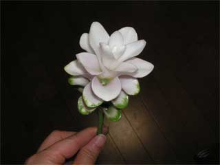 f0036603_0394324.jpg