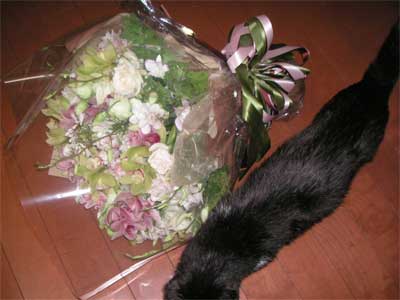 f0036603_0442661.jpg