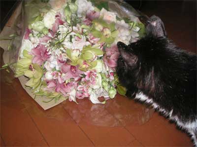 f0036603_0462840.jpg