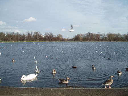 Kensington Palace & Kensington Gardens_d0148729_2032992.jpg