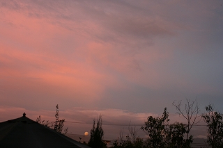 d0143041_17381852.jpg