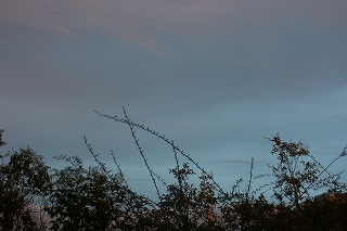 d0143041_17402884.jpg